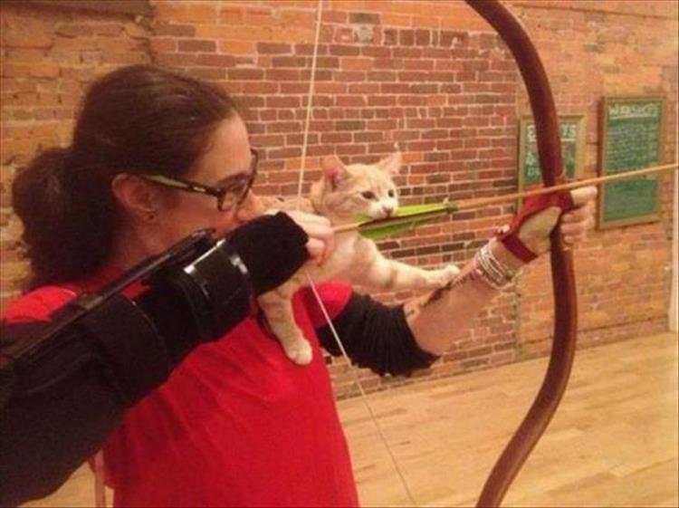 Cats_Got to_Love_them_8
