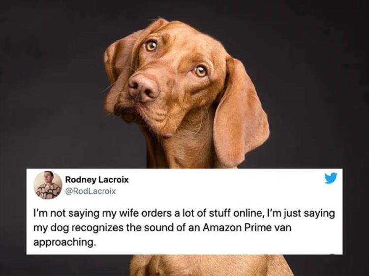 Memehilator_com_Funny_Quotes_110