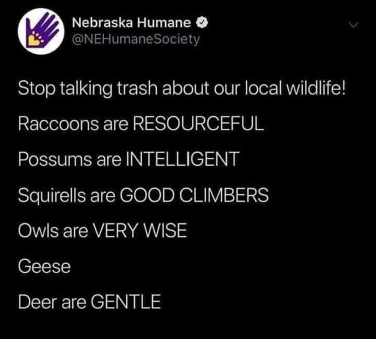 Memehilator_com_Funny_Quotes_167