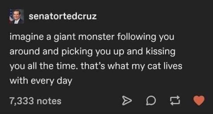 Memehilator_com_Funny_Quotes_69
