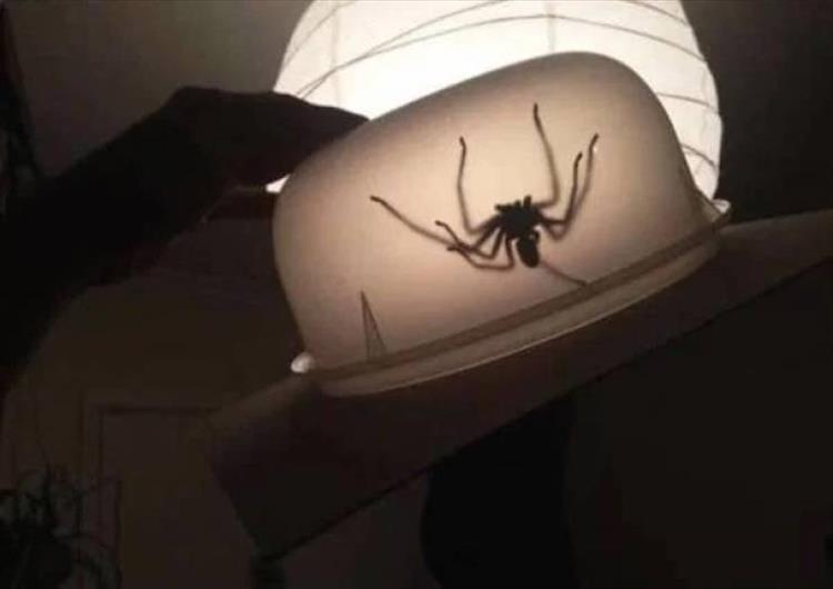 Memehilator_com_Nope_Nope_Nope_Not_Happening_for_Me12