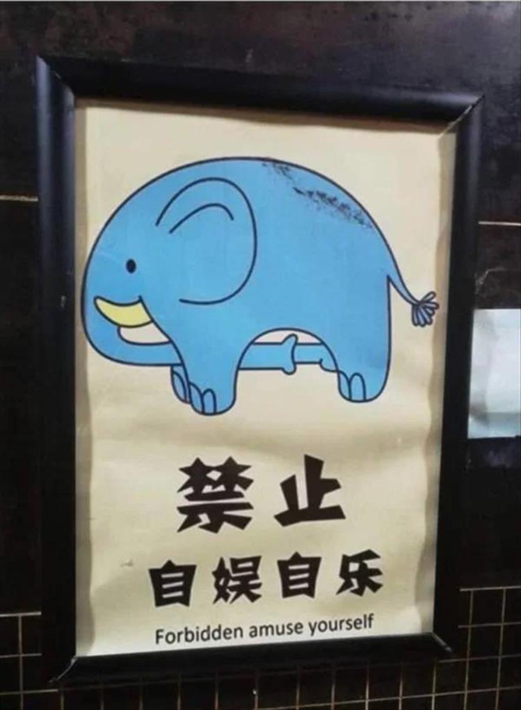Memehilator_com_Translation Lost_15