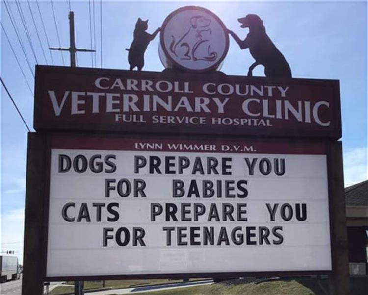 Carroll_County_Vet_Clinic_Signs1