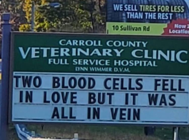 Carroll_County_Vet_Clinic_Signs11