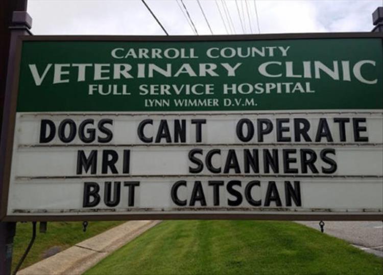 Carroll_County_Vet_Clinic_Signs12