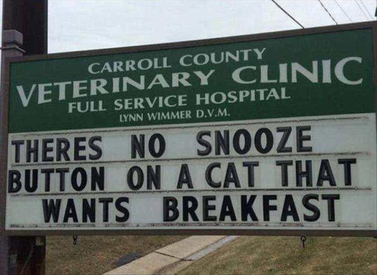 Carroll_County_Vet_Clinic_Signs14