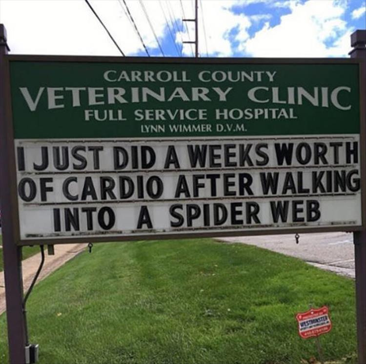 Carroll_County_Vet_Clinic_Signs15
