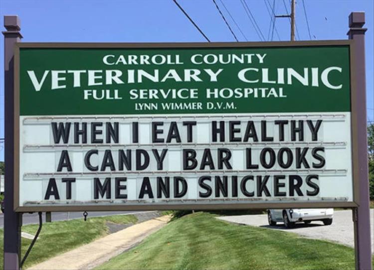 Carroll_County_Vet_Clinic_Signs16