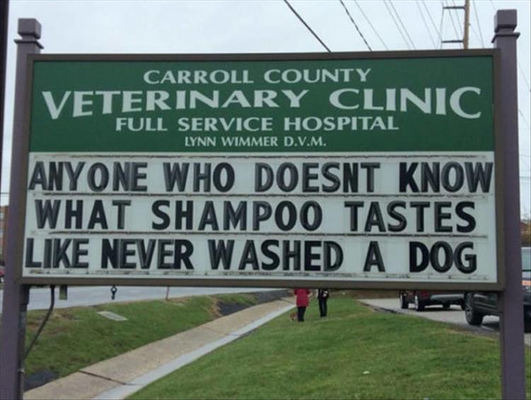 Carroll_County_Vet_Clinic_Signs17