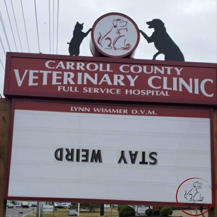 Carroll_County_Vet_Clinic_Signs18