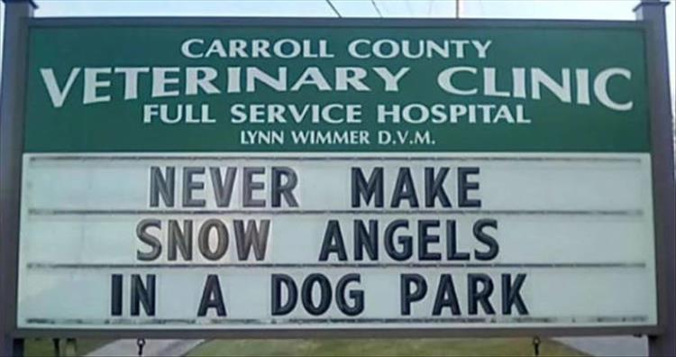 Carroll_County_Vet_Clinic_Signs19