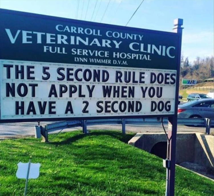 Carroll_County_Vet_Clinic_Signs20