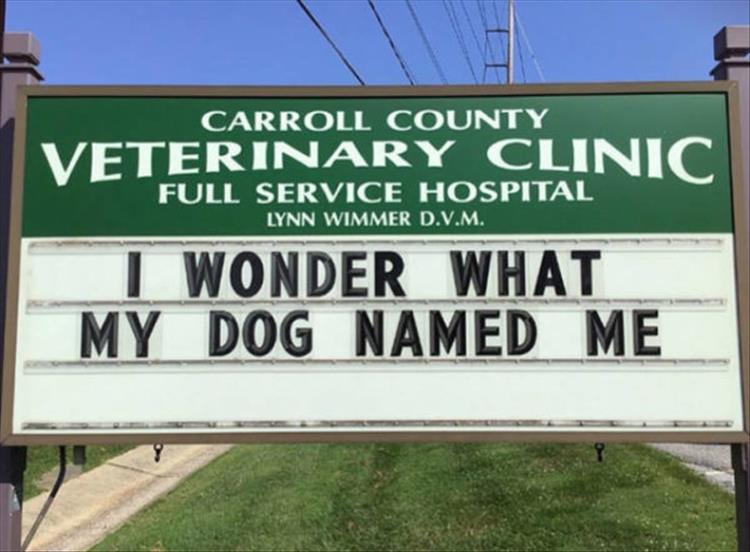 Carroll_County_Vet_Clinic_Signs23