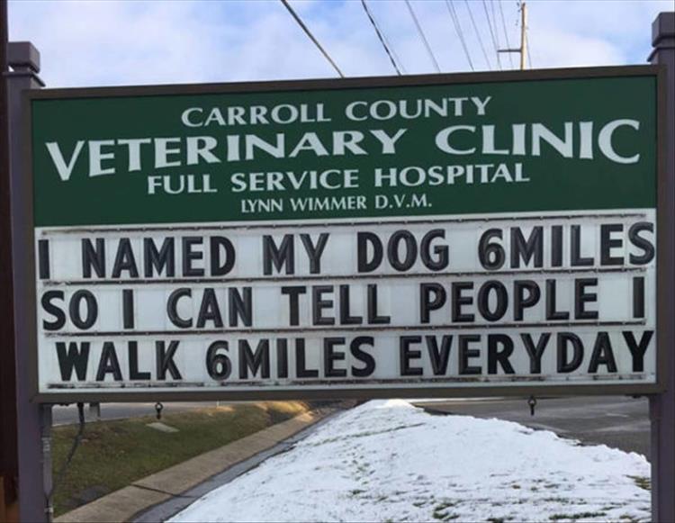 Carroll_County_Vet_Clinic_Signs24