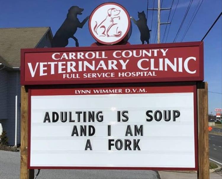 Carroll_County_Vet_Clinic_Signs4