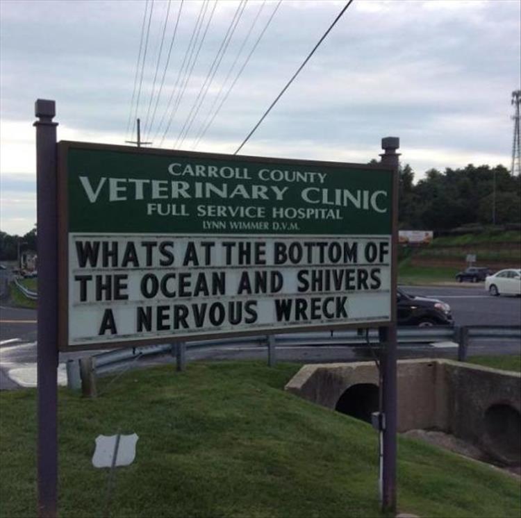 Carroll_County_Vet_Clinic_Signs8